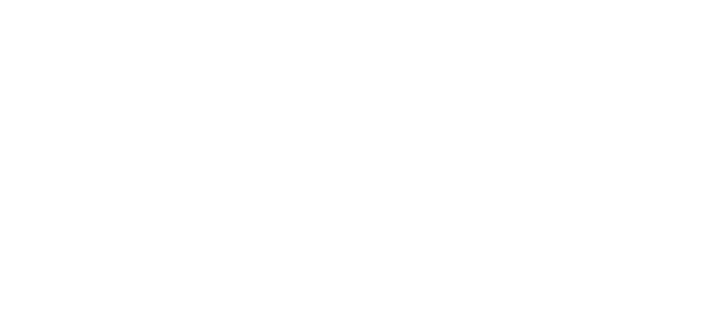 logo fevis 1