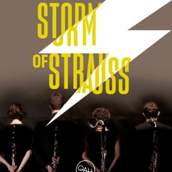 storm of strauss page programmes
